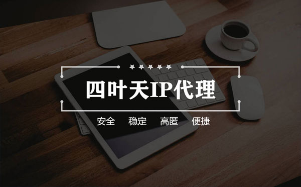 【澄迈代理IP】如何快速搭建代理IP？怎么检查代理的效果？